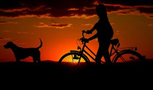 自転車を引く人と犬